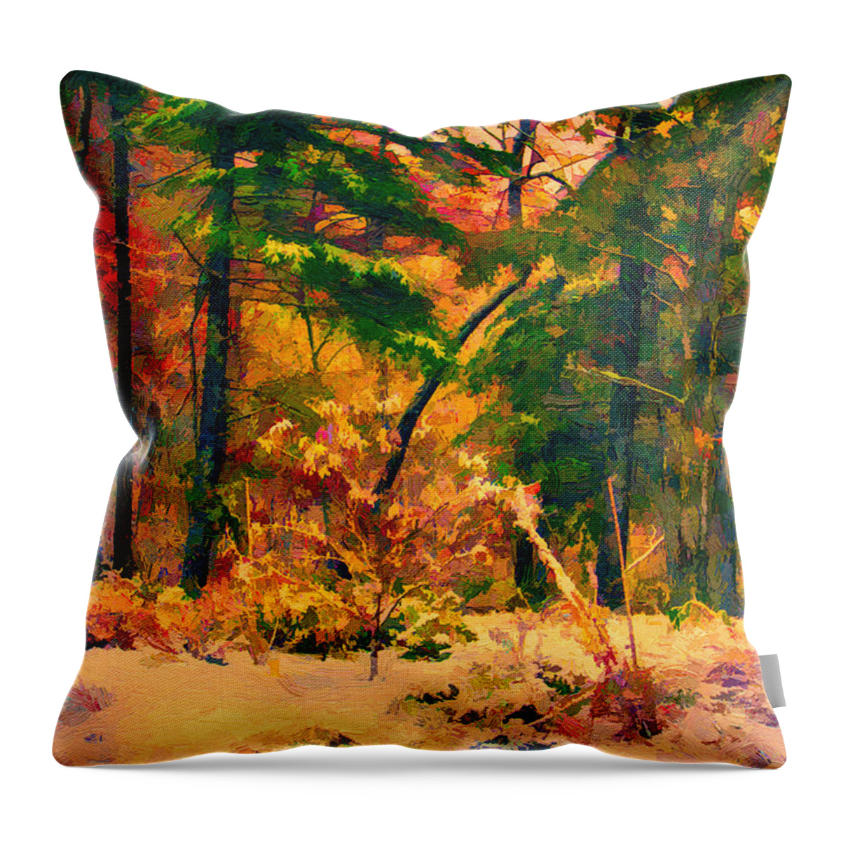 Appalachian Mountains Throw Pillow featuring the painting When Fall Becomes Winter by John Haldane