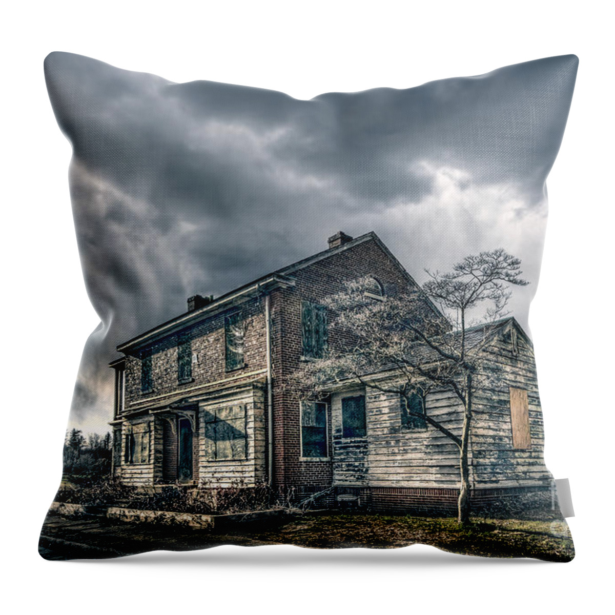 Kings Park Throw Pillow featuring the photograph When No One Cares by Evelina Kremsdorf