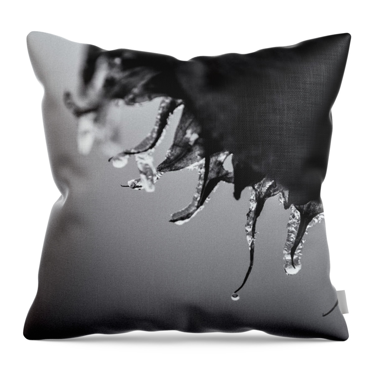 Natural Abstract Throw Pillow featuring the photograph When the Light Goes Out by Sue Capuano