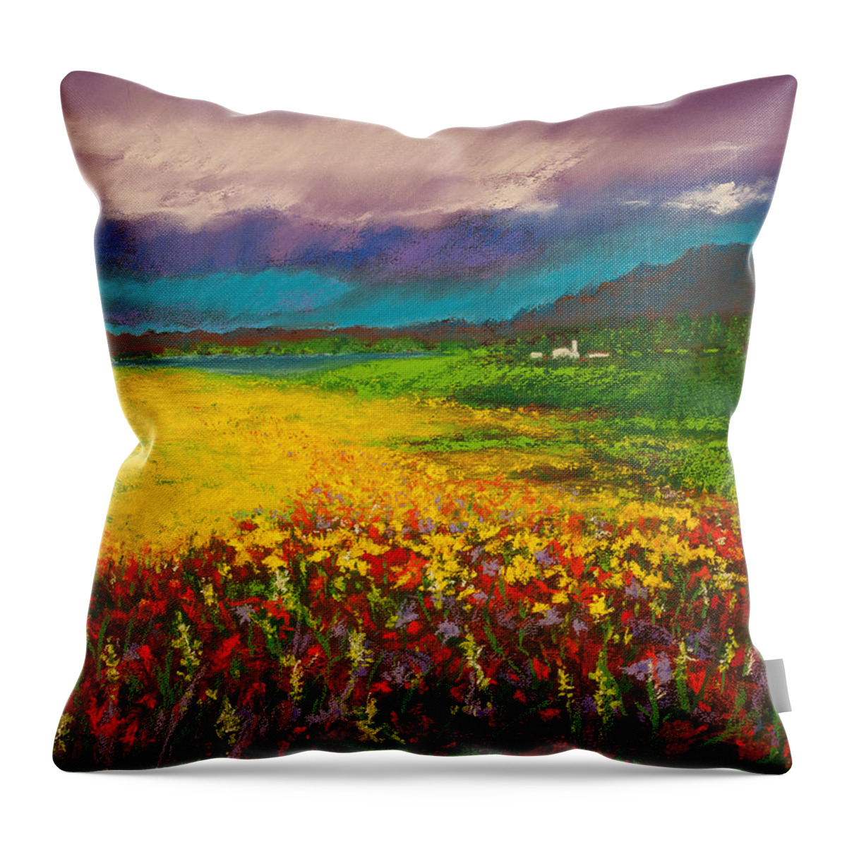David Patterson Throw Pillow featuring the painting Where Birds Fly by David Patterson