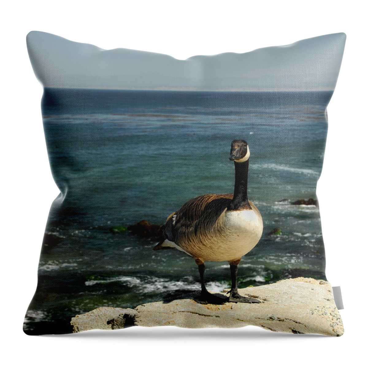 Goose Throw Pillow featuring the photograph Where Do I Go From Here by Donna Blackhall