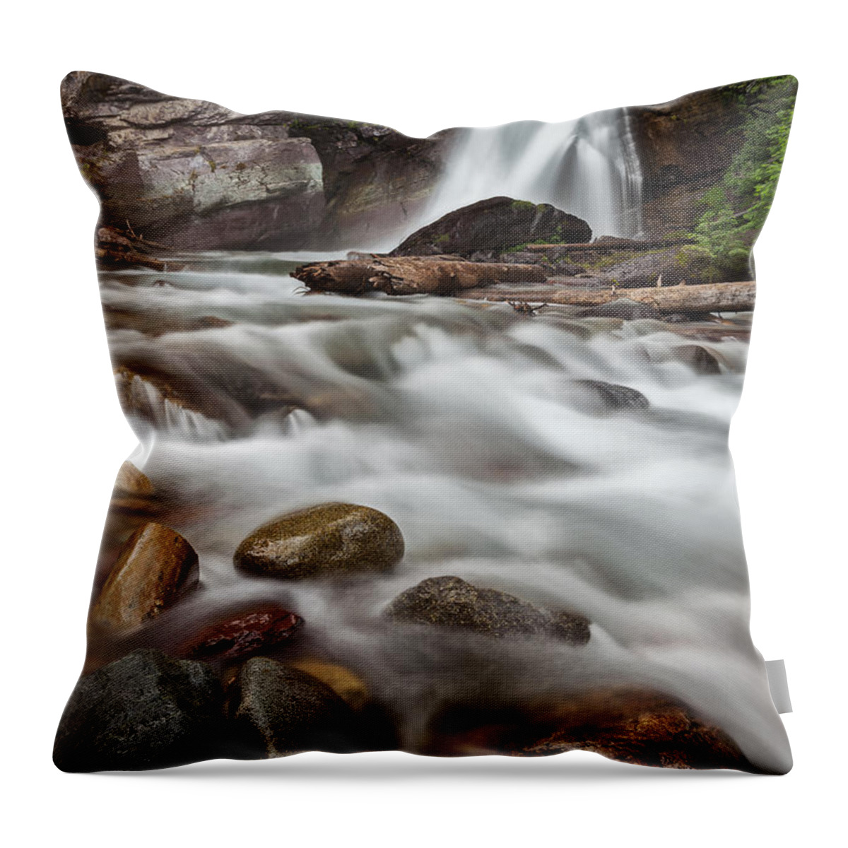 Art Throw Pillow featuring the photograph Where the Water Goes by Jon Glaser