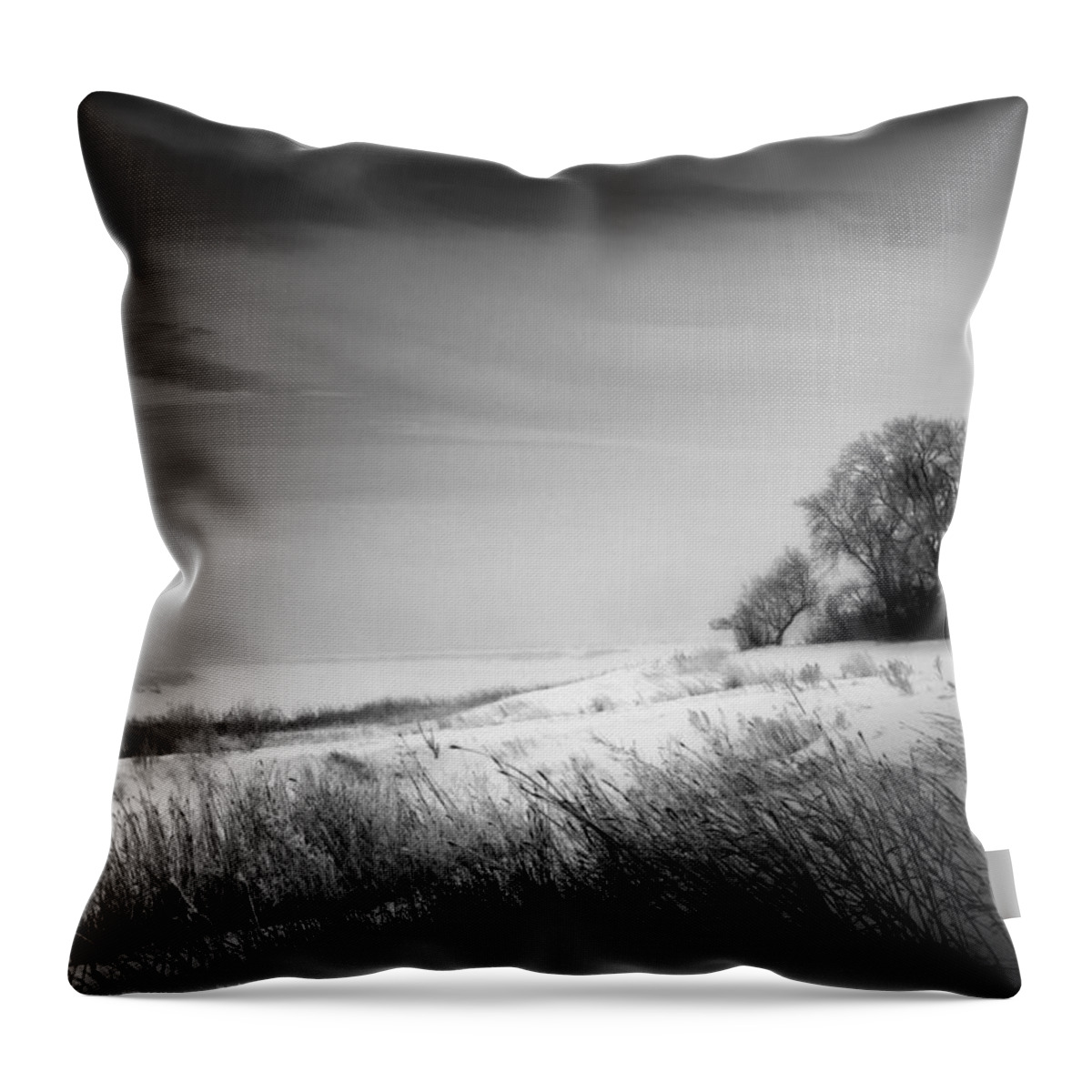 Fog Throw Pillow featuring the photograph Where the Wild Winds Blow by Sandra Parlow