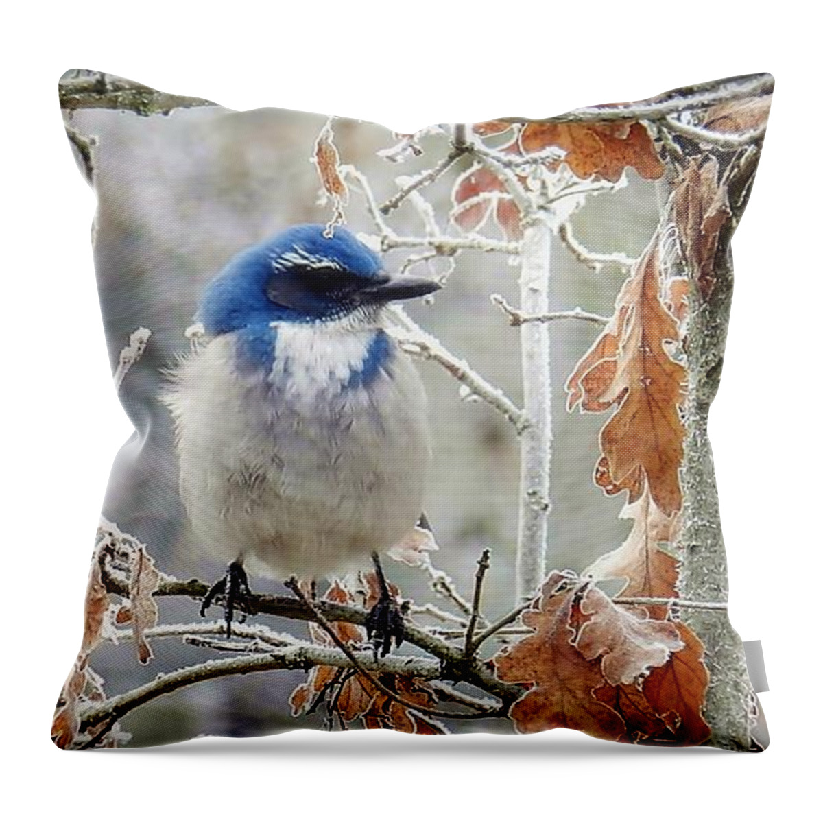 Birds Throw Pillow featuring the photograph Where's The Heater by Julia Hassett