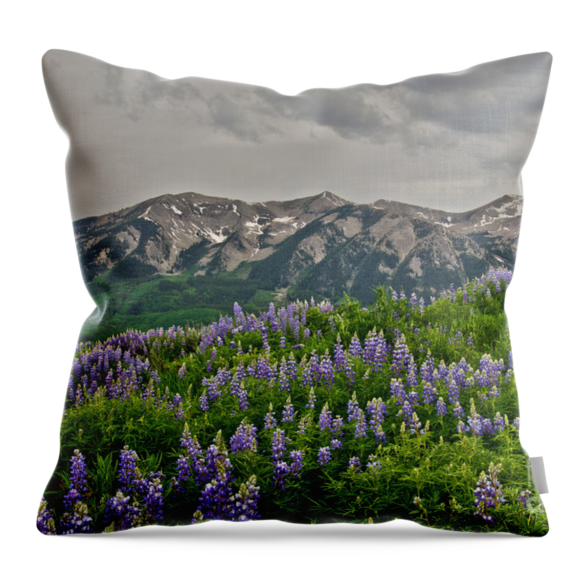 Crested Butte Throw Pillow featuring the photograph Whetstone Sunset by Kelly Black