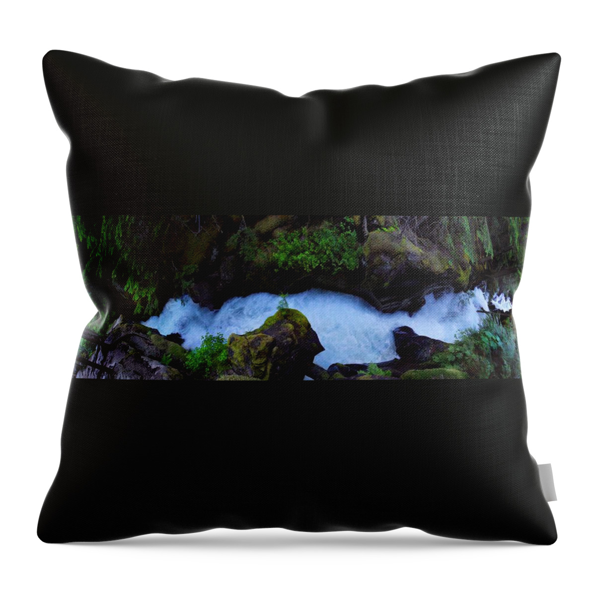 Avalanche Creek Throw Pillow featuring the photograph Which Way by David Andersen