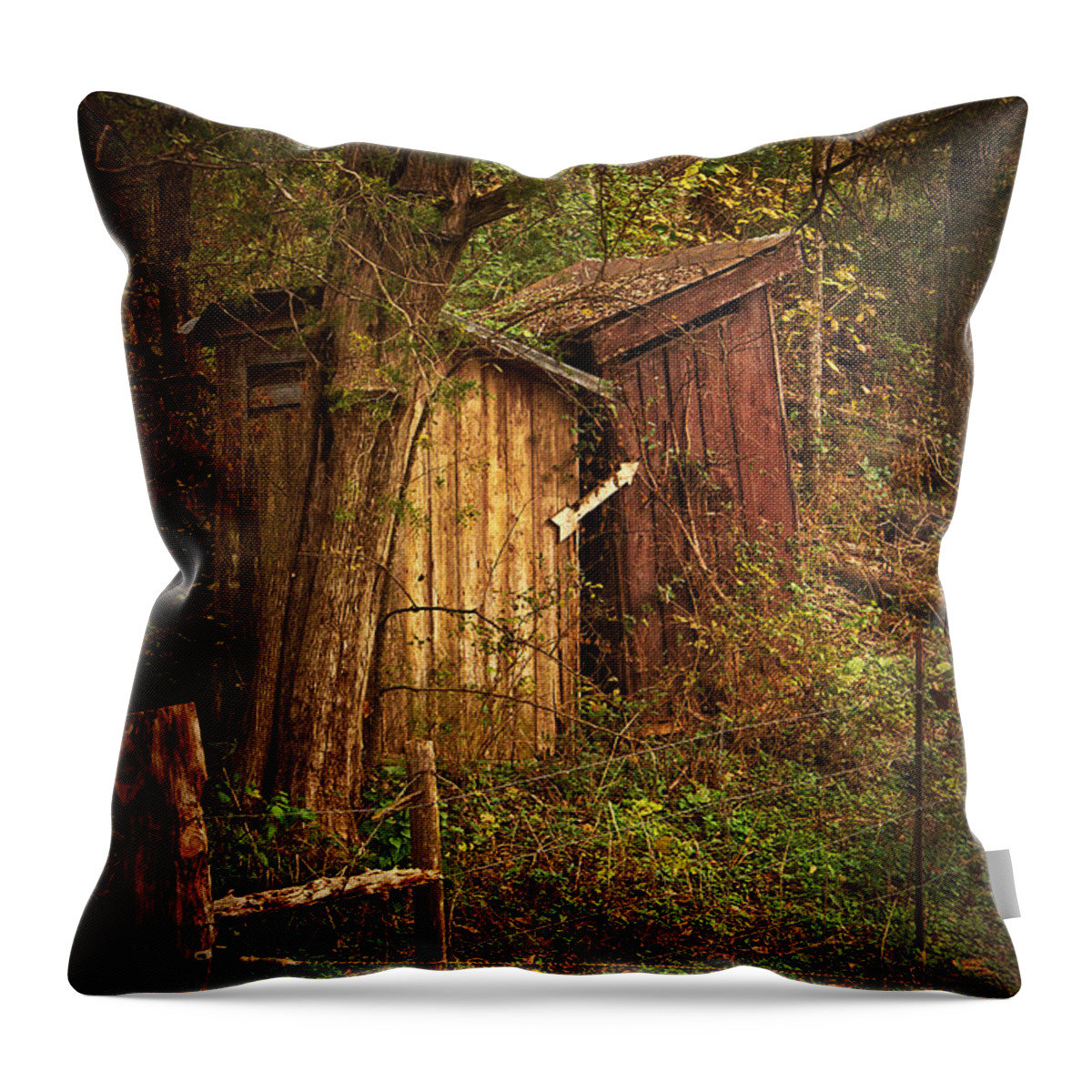 Outhouse Throw Pillow featuring the photograph Which Way to the Outhouse? by Priscilla Burgers