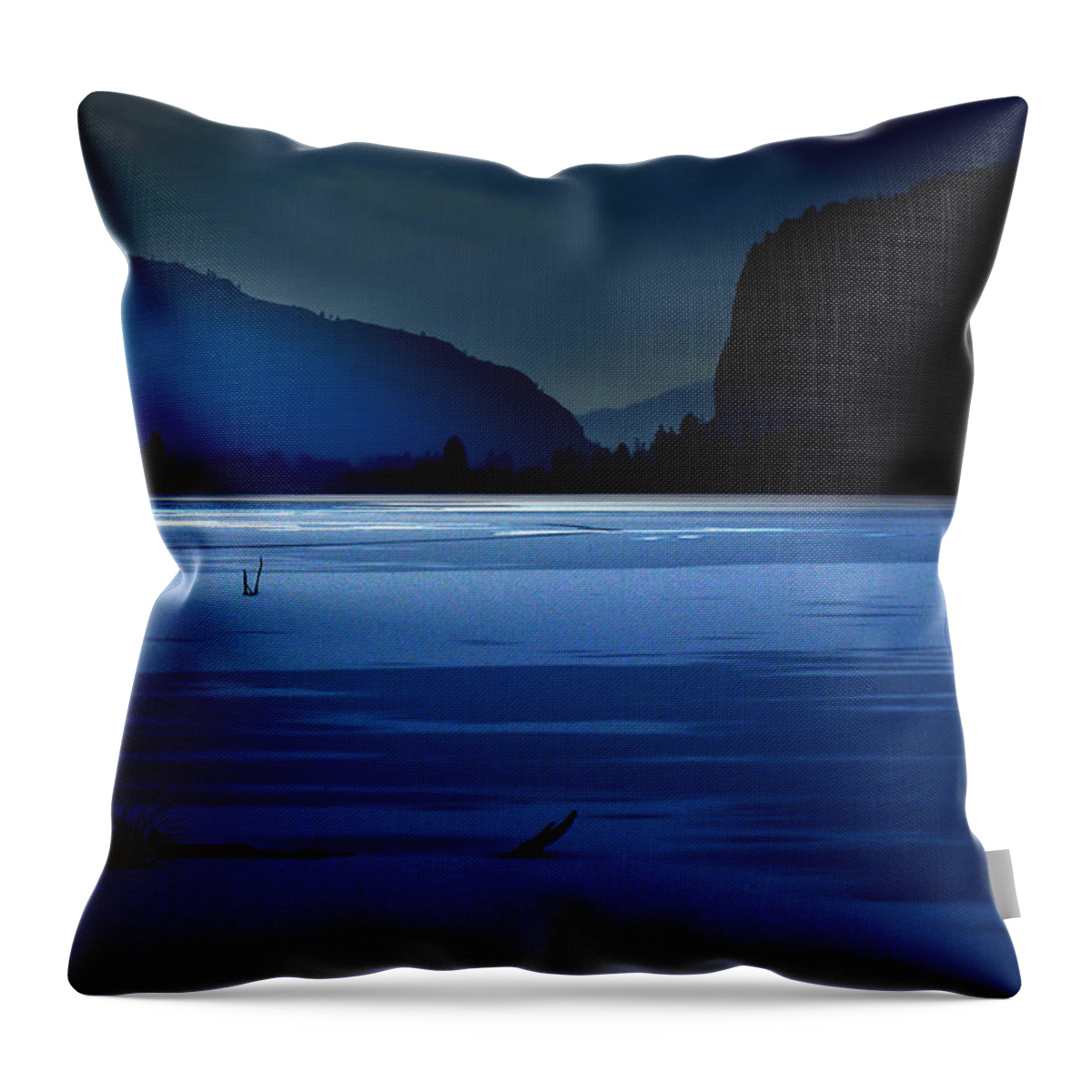 Snow Throw Pillow featuring the photograph While you were sleeping by John Poon