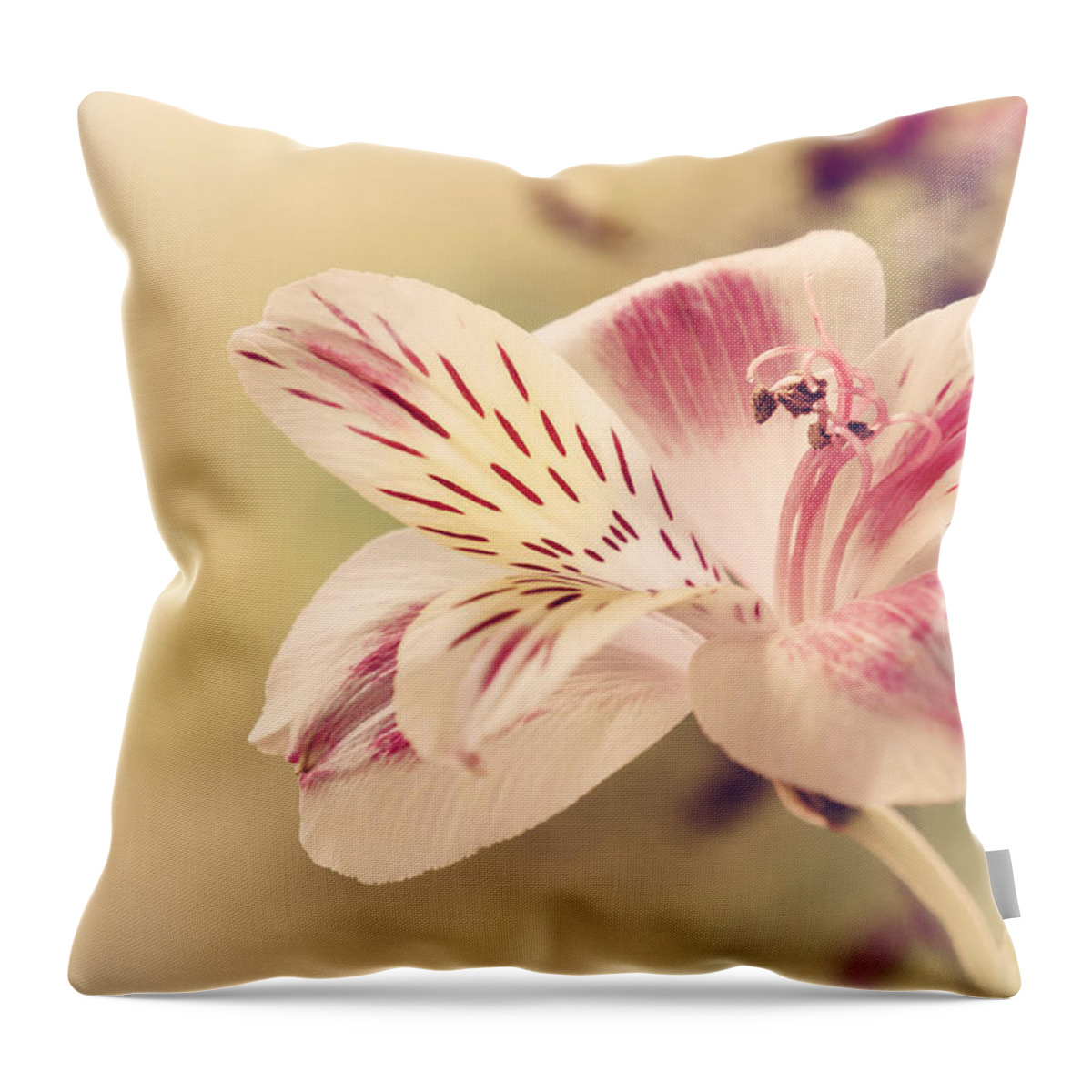 Floral Throw Pillow featuring the photograph Whisper  Alstroemeria Two by Darlene Kwiatkowski