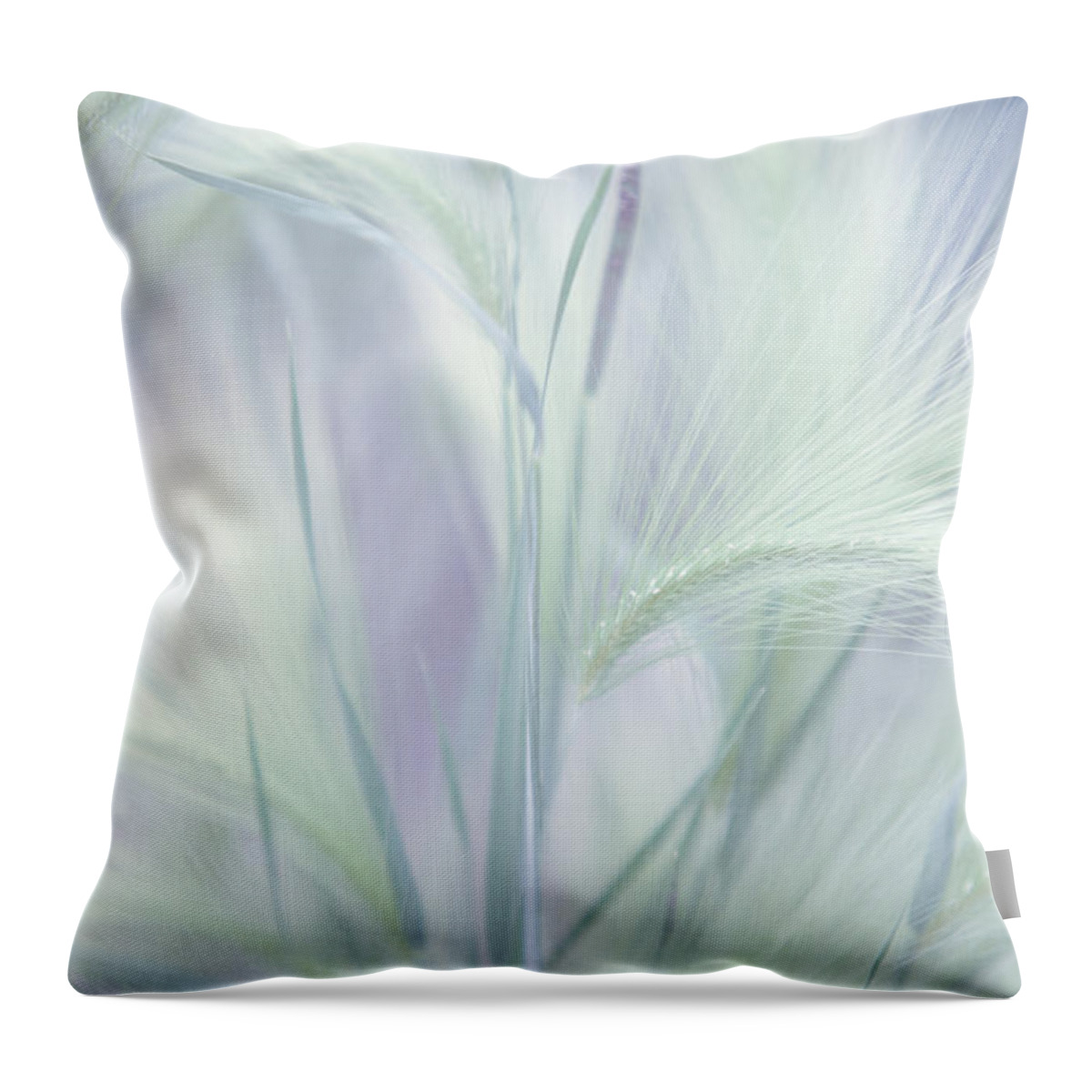 Grass Throw Pillow featuring the photograph Whisper in the Moon Light. Grass Pastels by Jenny Rainbow
