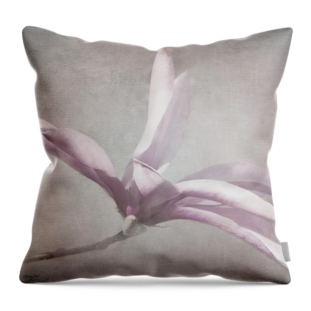 Pink Tulip Magnolia Throw Pillow featuring the photograph Whisper Tulip Magnolia by Melissa Bittinger