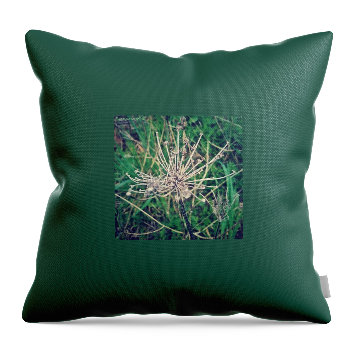 Naturestyles_gf Throw Pillow featuring the photograph Whispers - My First Photo Of by Anna Porter