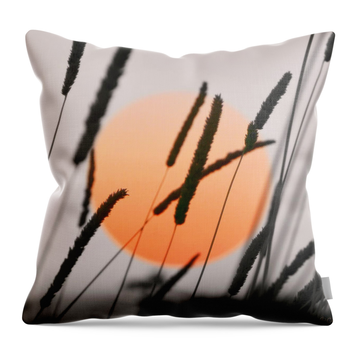 Sunset Throw Pillow featuring the photograph Whispers by Charlotte Schafer
