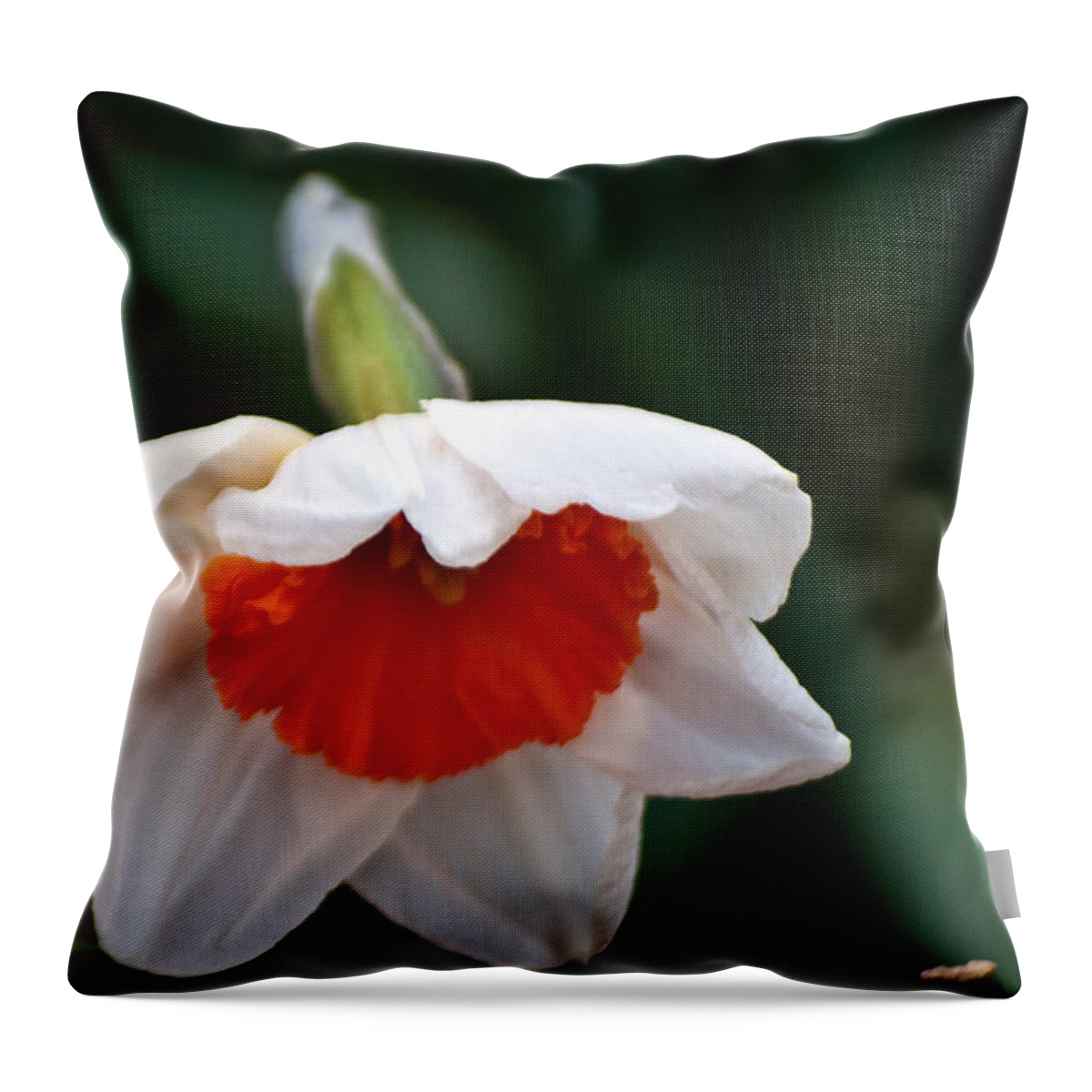 Passover Throw Pillow featuring the photograph White and Orange Daffodil by Tikvah's Hope