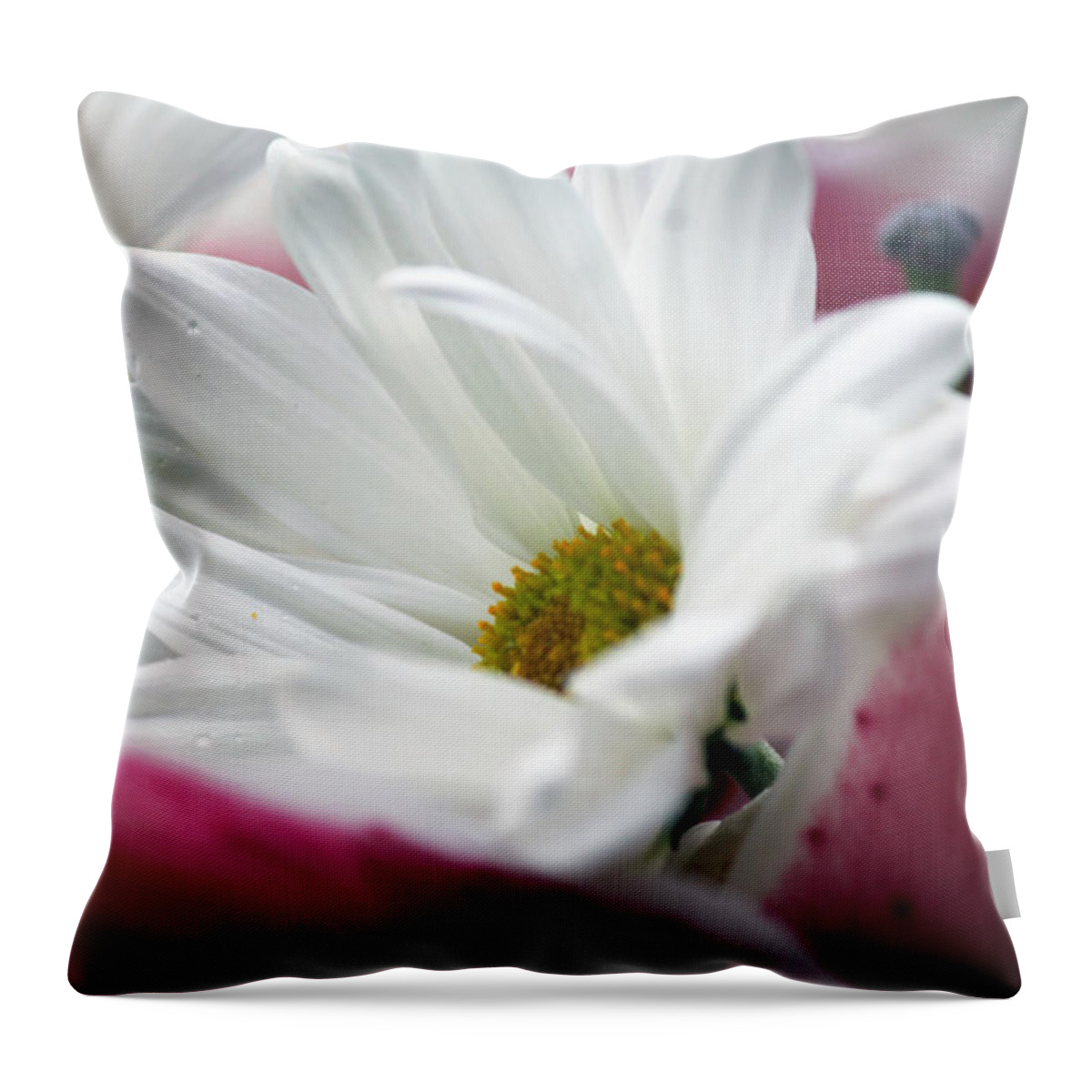 Flower Throw Pillow featuring the photograph White beauty by Lily K