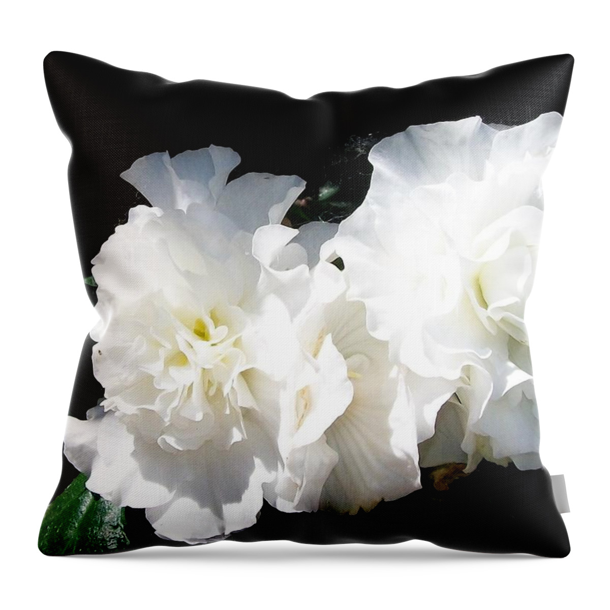 Trailing Throw Pillow featuring the photograph White Begonia by Sharon Duguay