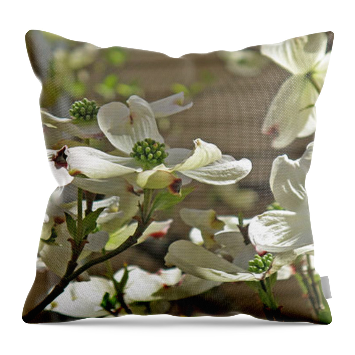Floral Throw Pillow featuring the photograph White Blossoms by Barbara McDevitt
