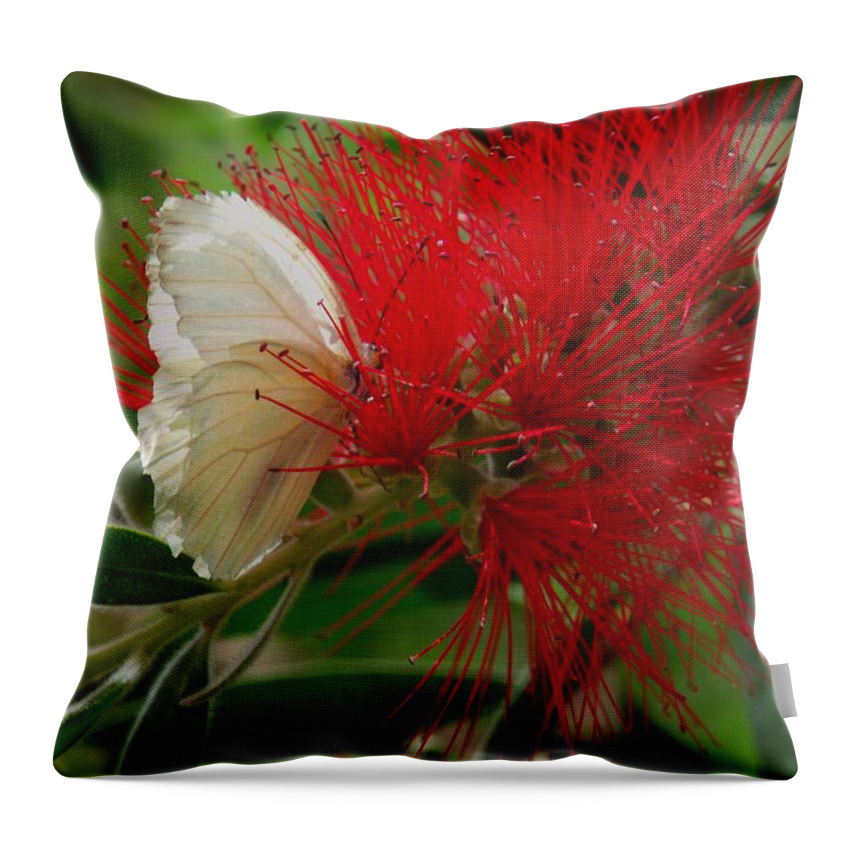  Throw Pillow featuring the photograph White Butterfly by Desert Serenity