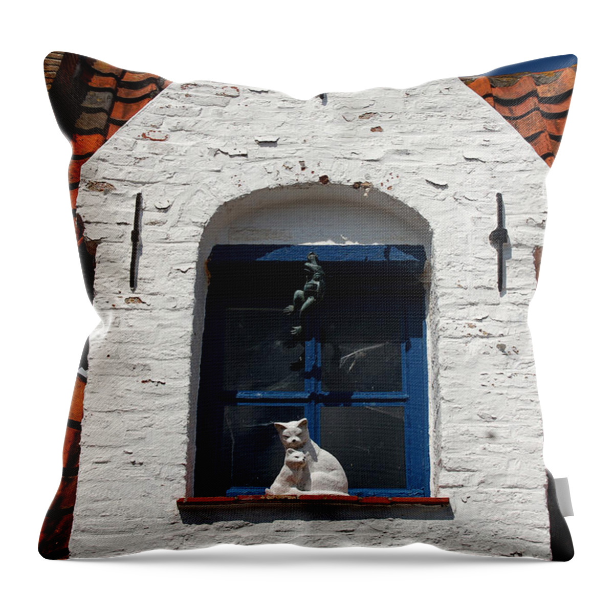 Cat Throw Pillow featuring the photograph White cat at blue window by RicardMN Photography