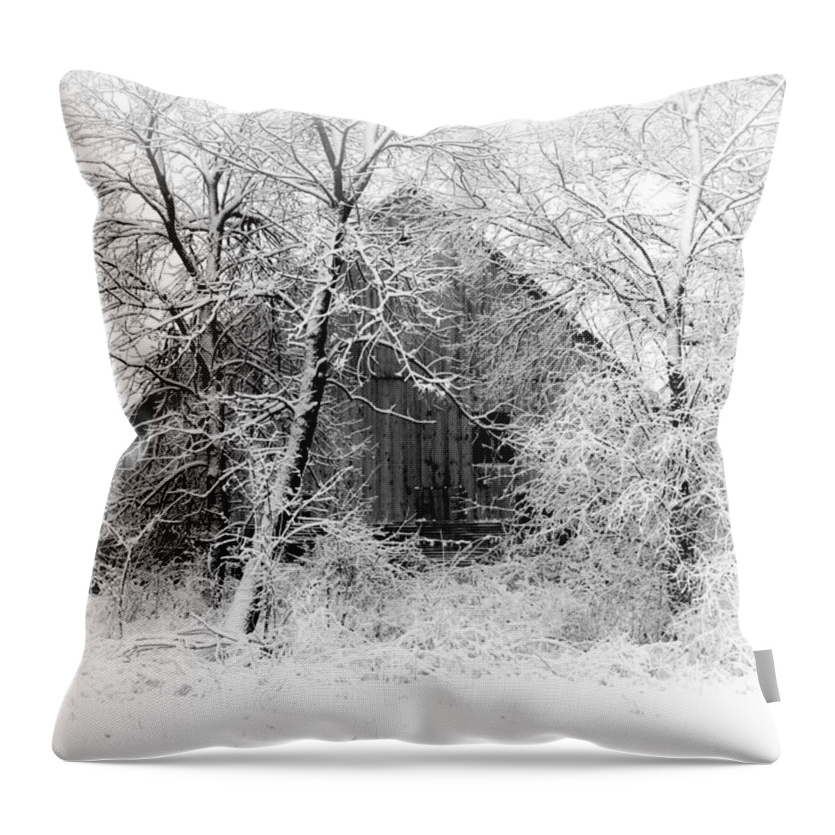 Barn Throw Pillow featuring the photograph White Christmas 1 by Julie Hamilton