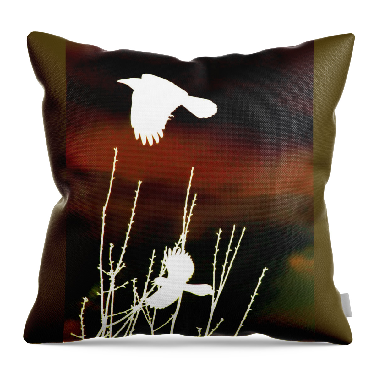 Crow Throw Pillow featuring the photograph White Crow and the Bluejay by Lesa Fine