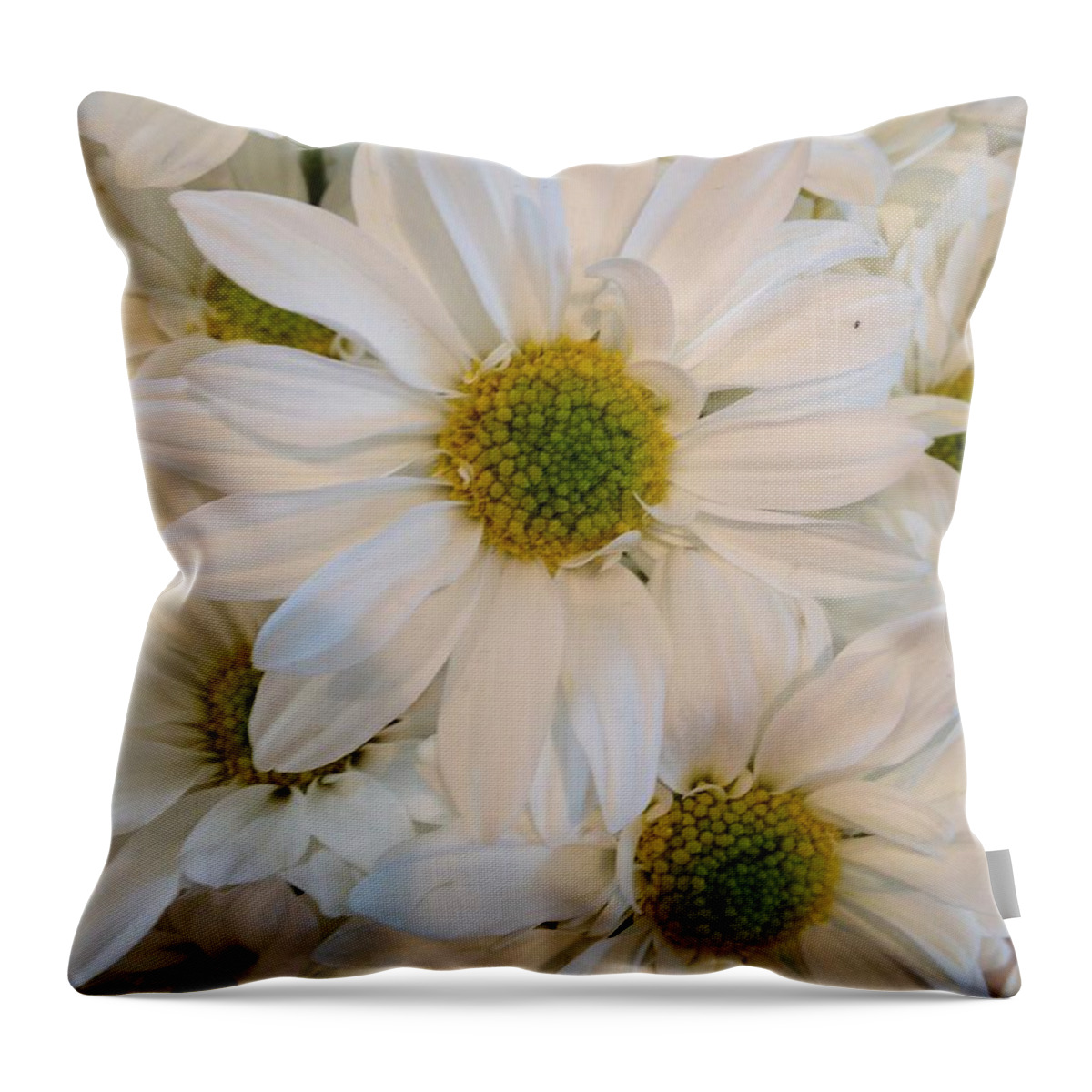 Daisy Throw Pillow featuring the photograph White Daisies by Marian Lonzetta