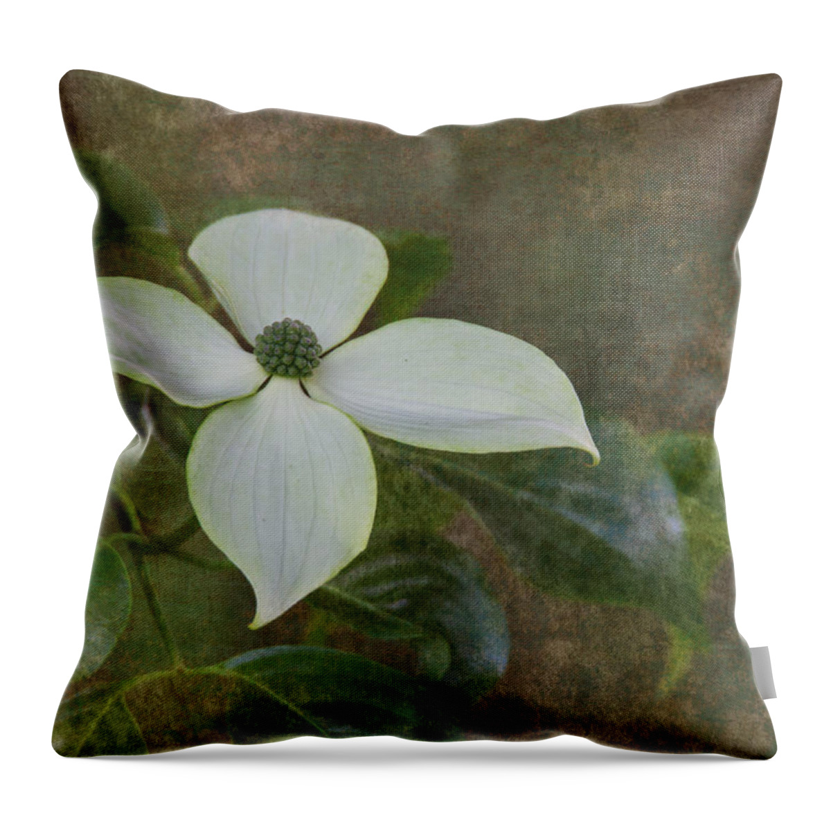 Dogwood Throw Pillow featuring the photograph White Dogwood by Angie Vogel