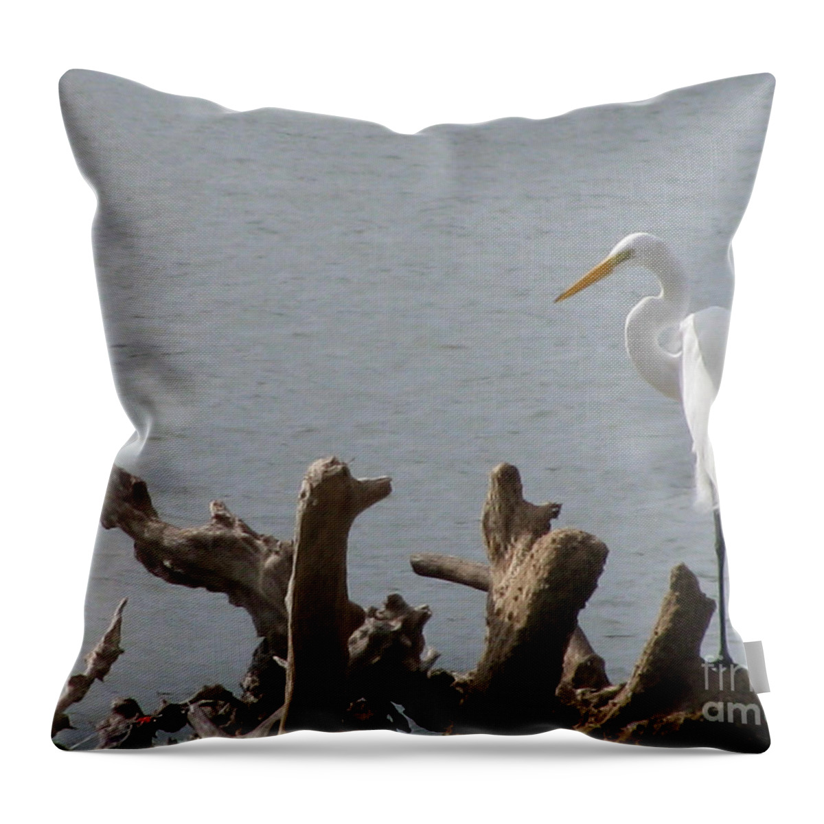 White Egret Throw Pillow featuring the photograph White Egret by Jimmie Bartlett
