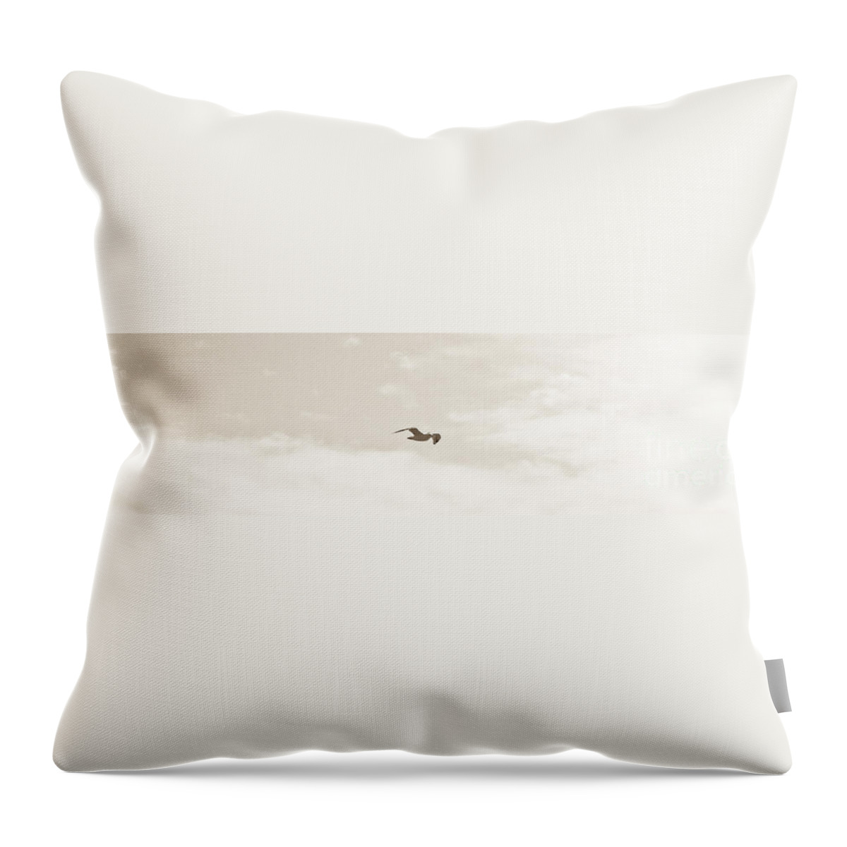 Sky Throw Pillow featuring the photograph White Flight by David Fabian