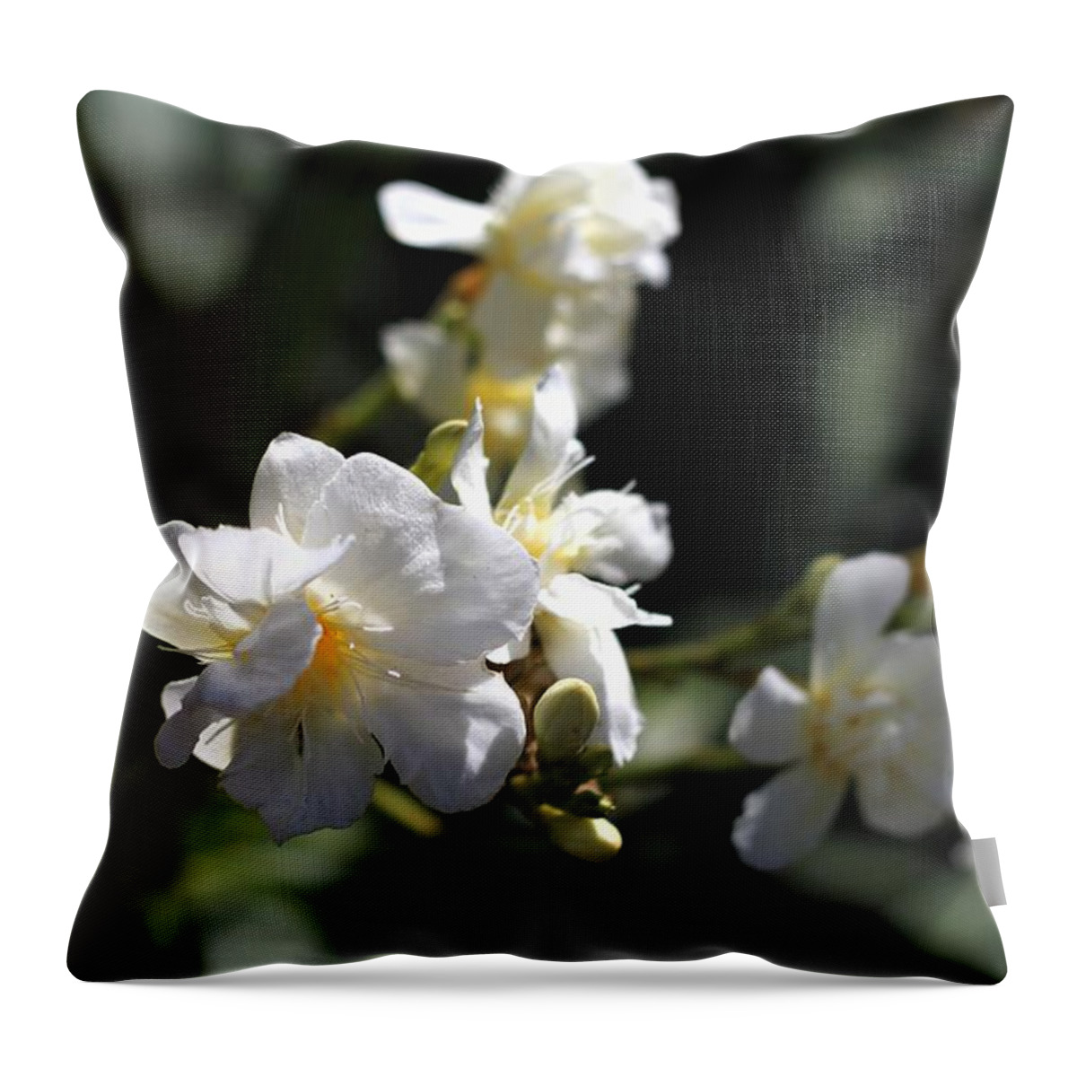 White Flower Throw Pillow featuring the photograph White Flower - Early Spring Time by Ramabhadran Thirupattur