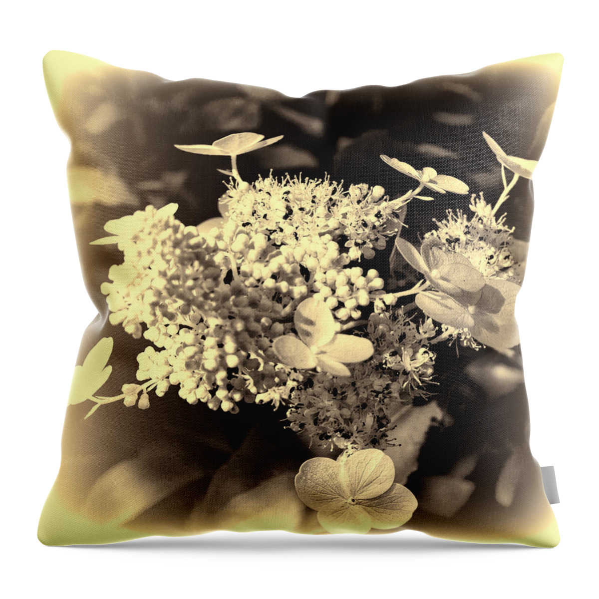White Throw Pillow featuring the photograph white flower SV by Leif Sohlman