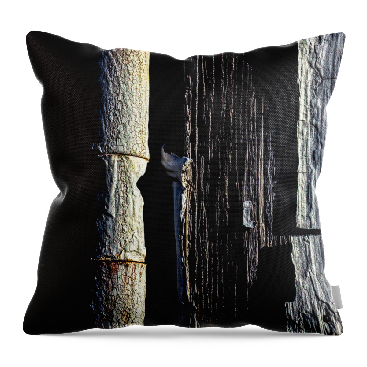 Abstract Throw Pillow featuring the photograph White Hinge On The Old Red Barn by Bob Orsillo