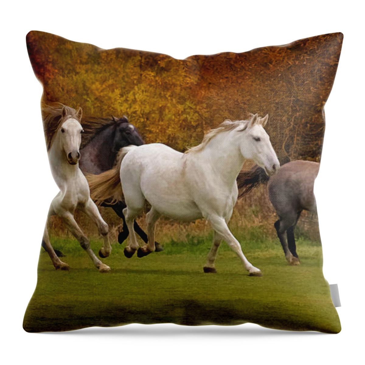 White Horse Vale Lipizzans Throw Pillow featuring the photograph White Horse Vale Lipizzans by Wes and Dotty Weber