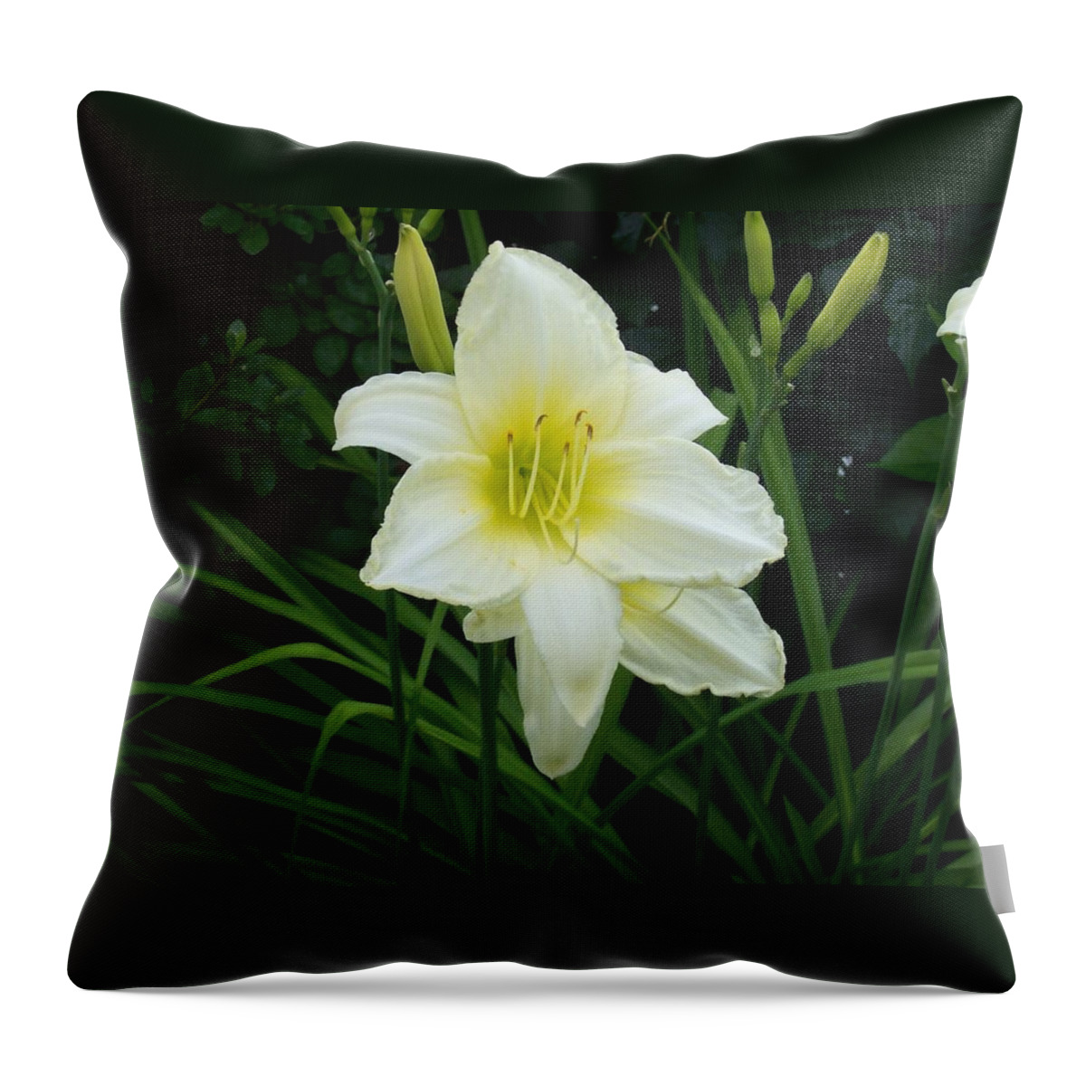 Flowers Photographs Throw Pillow featuring the photograph White Lily by Catherine Gagne