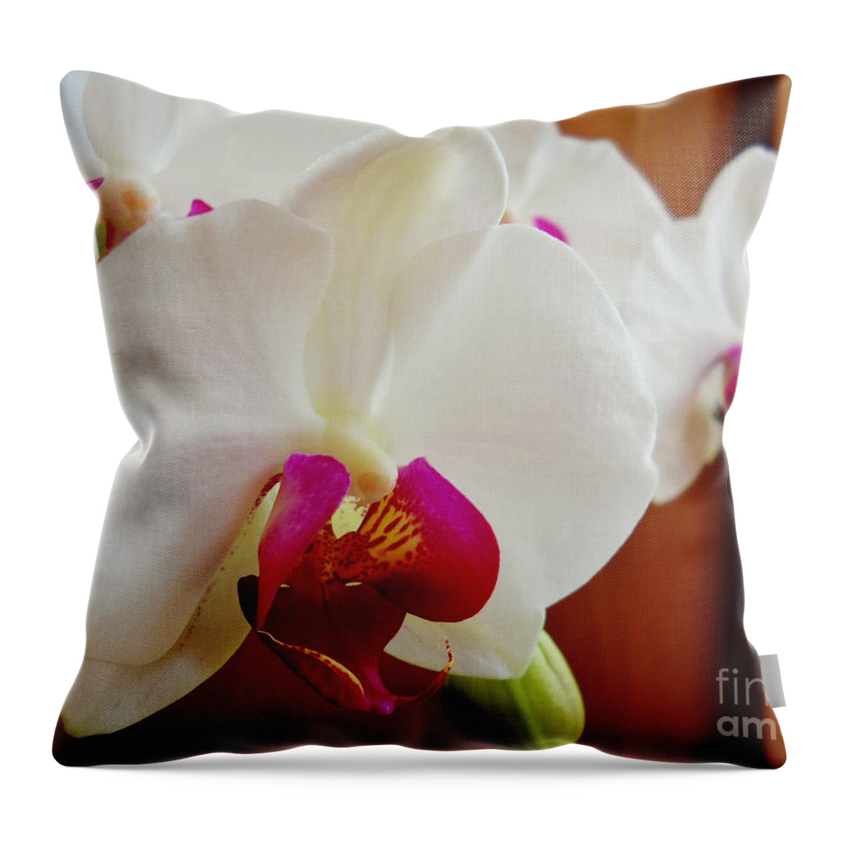 White Throw Pillow featuring the photograph White Orchid by Ramona Matei