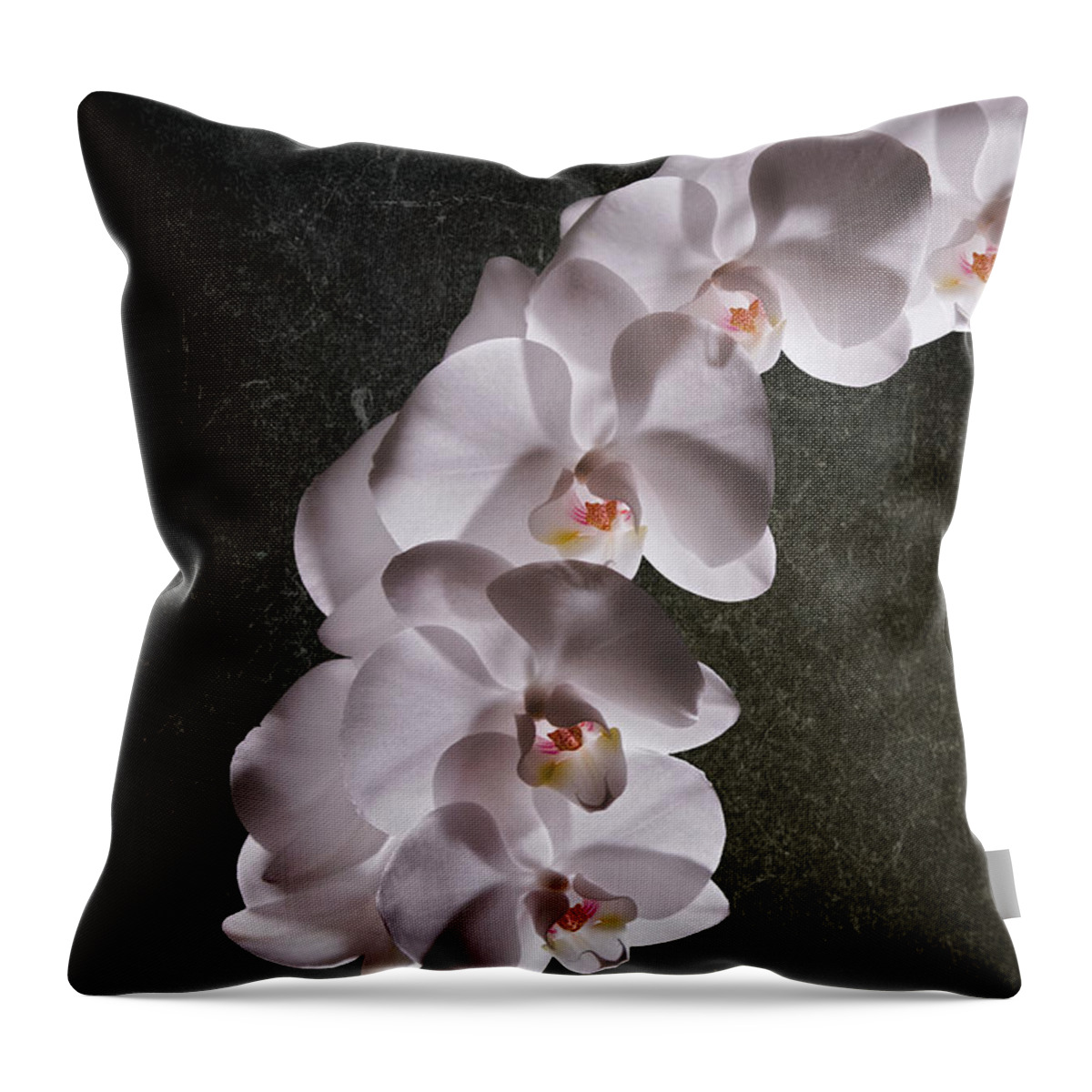 Arrangement Throw Pillow featuring the photograph White Orchid Still Life by Tom Mc Nemar
