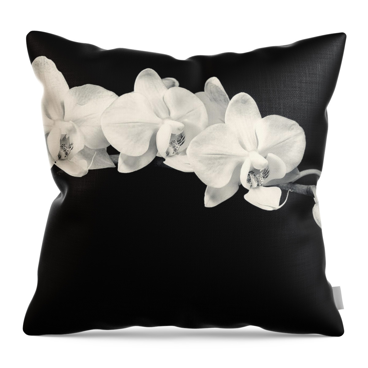 3scape Throw Pillow featuring the photograph White Orchids Monochrome by Adam Romanowicz