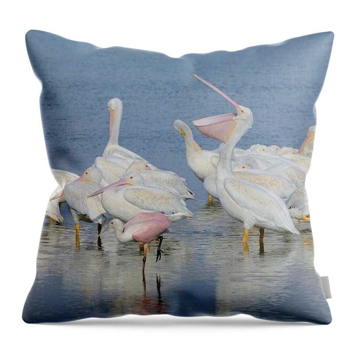 White Pelicans Throw Pillow featuring the photograph White Pelicans and Roseate Spoonbills by Bradford Martin