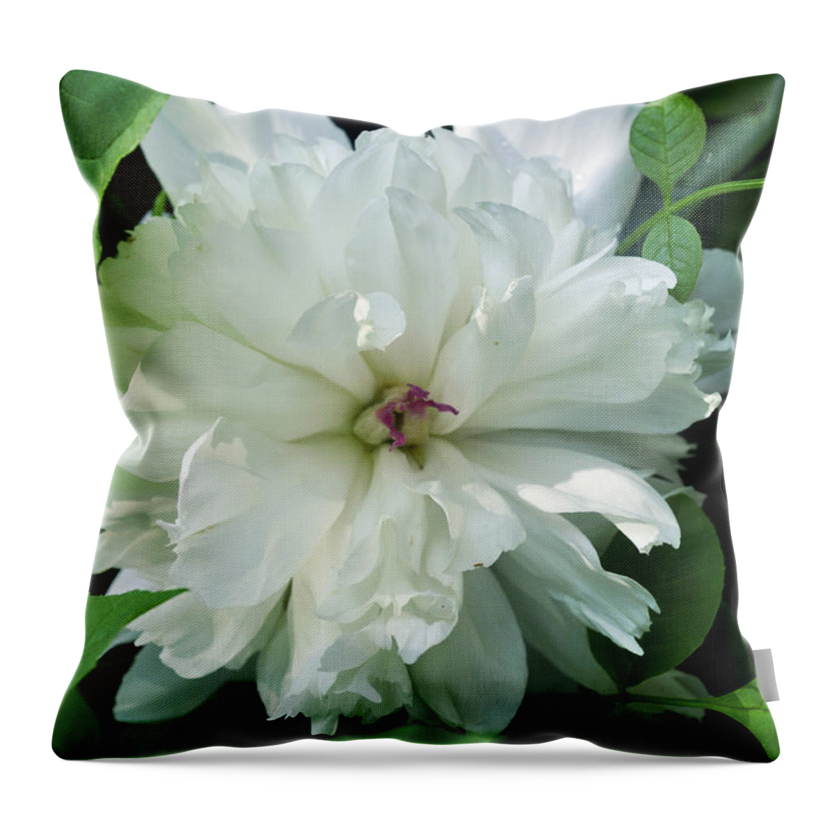 Peonese Throw Pillow featuring the photograph White Peonese by Verana Stark