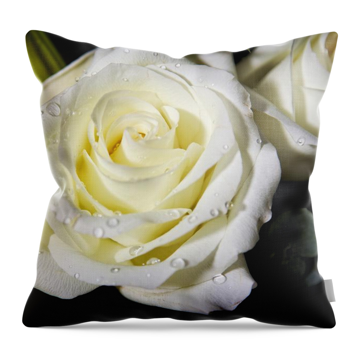 Rose Throw Pillow featuring the photograph White Rose by Dave Files