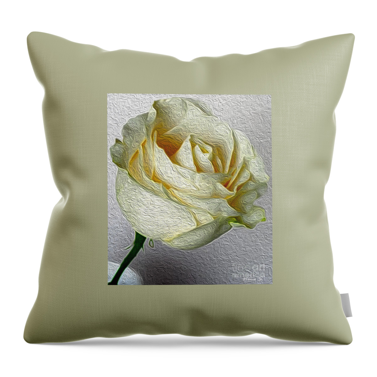 Floral Throw Pillow featuring the photograph White Rose in Oil Effect by Nina Silver
