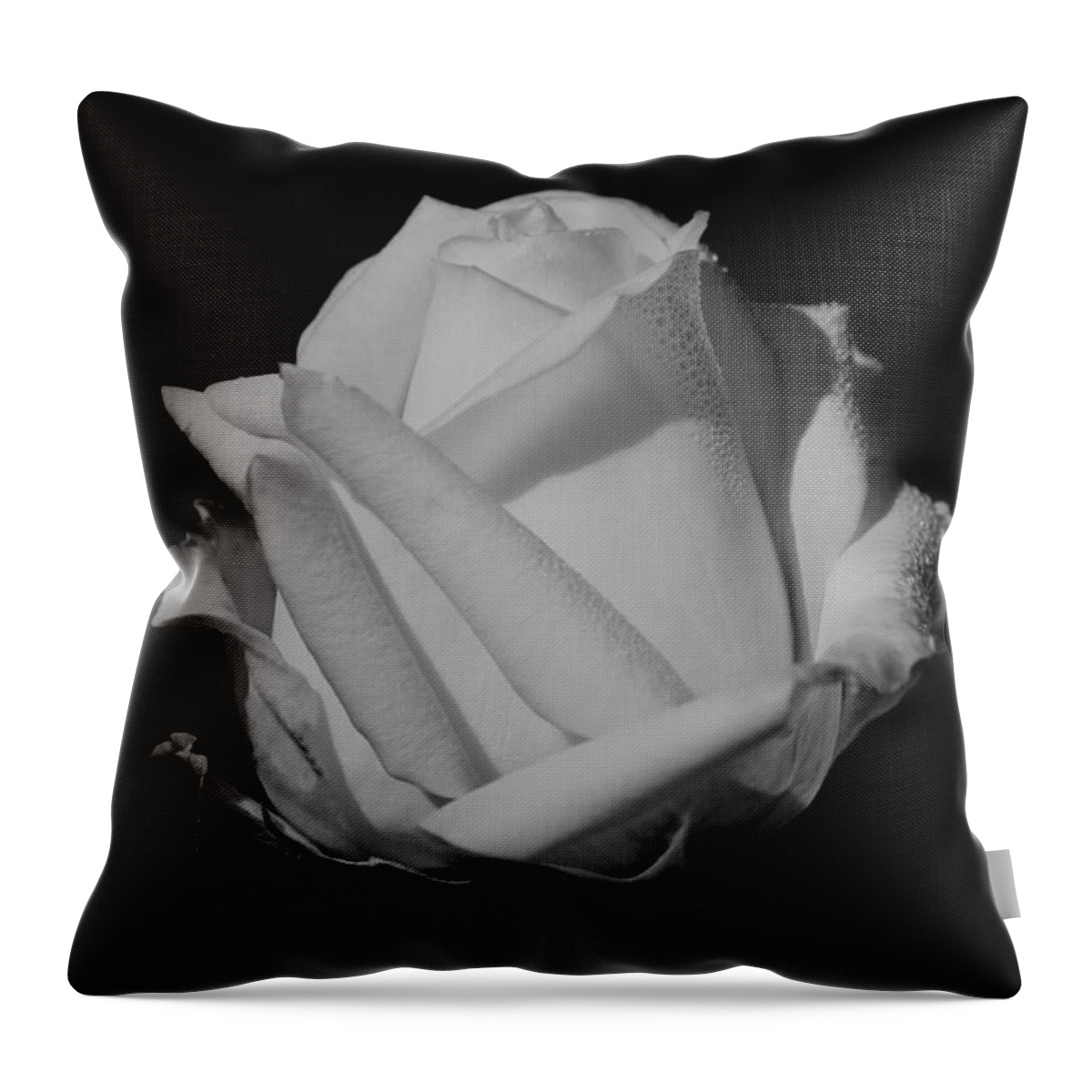 White Rose Throw Pillow featuring the photograph White Rose by Michelle Joseph-Long