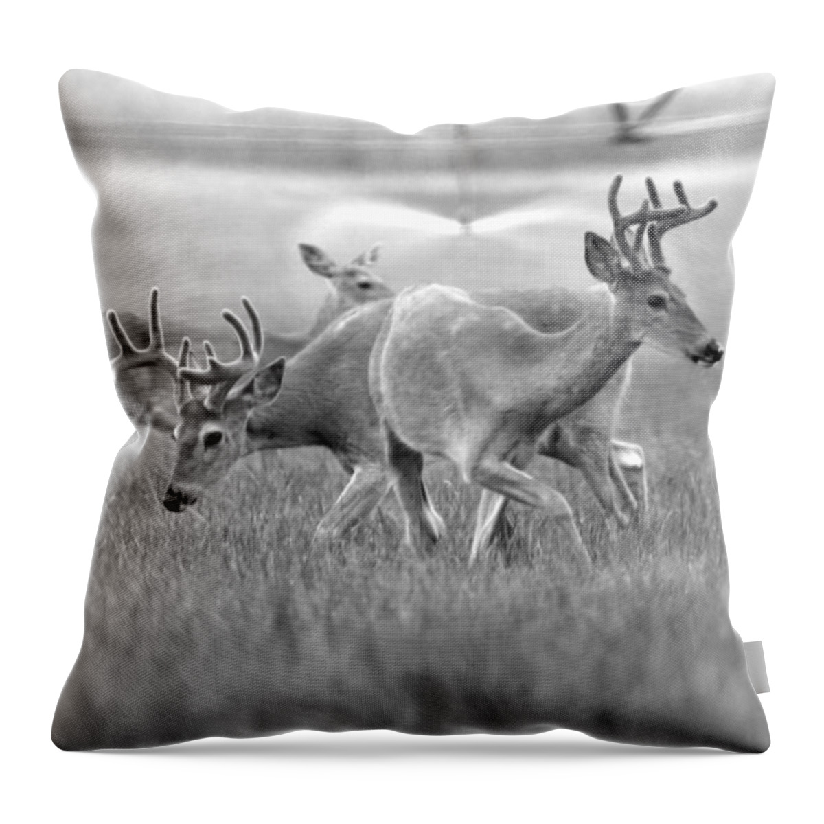White Tailed Buck Throw Pillow featuring the photograph White Tail Shower by Steve McKinzie