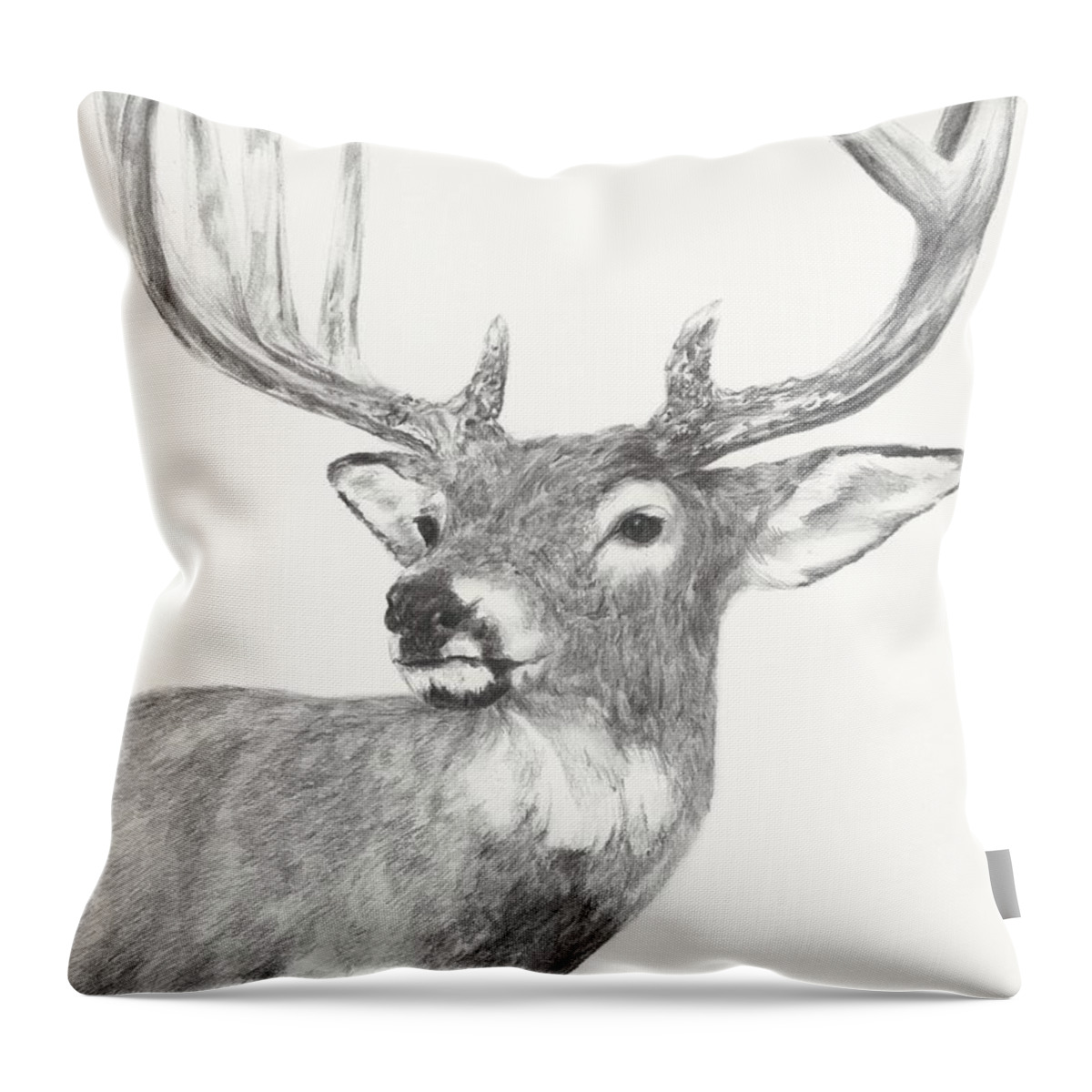 Deer Throw Pillow featuring the drawing White tailed Buck study by Meagan Visser