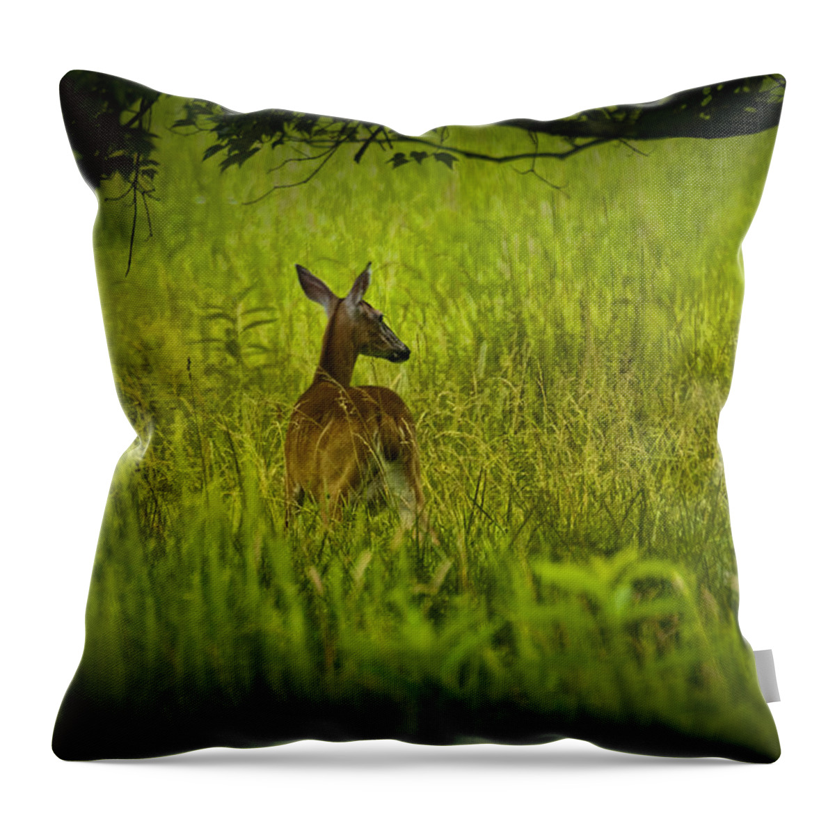 Doe Throw Pillow featuring the photograph White Tailed Doe Deer in a Field in Cade's Cove by Randall Nyhof