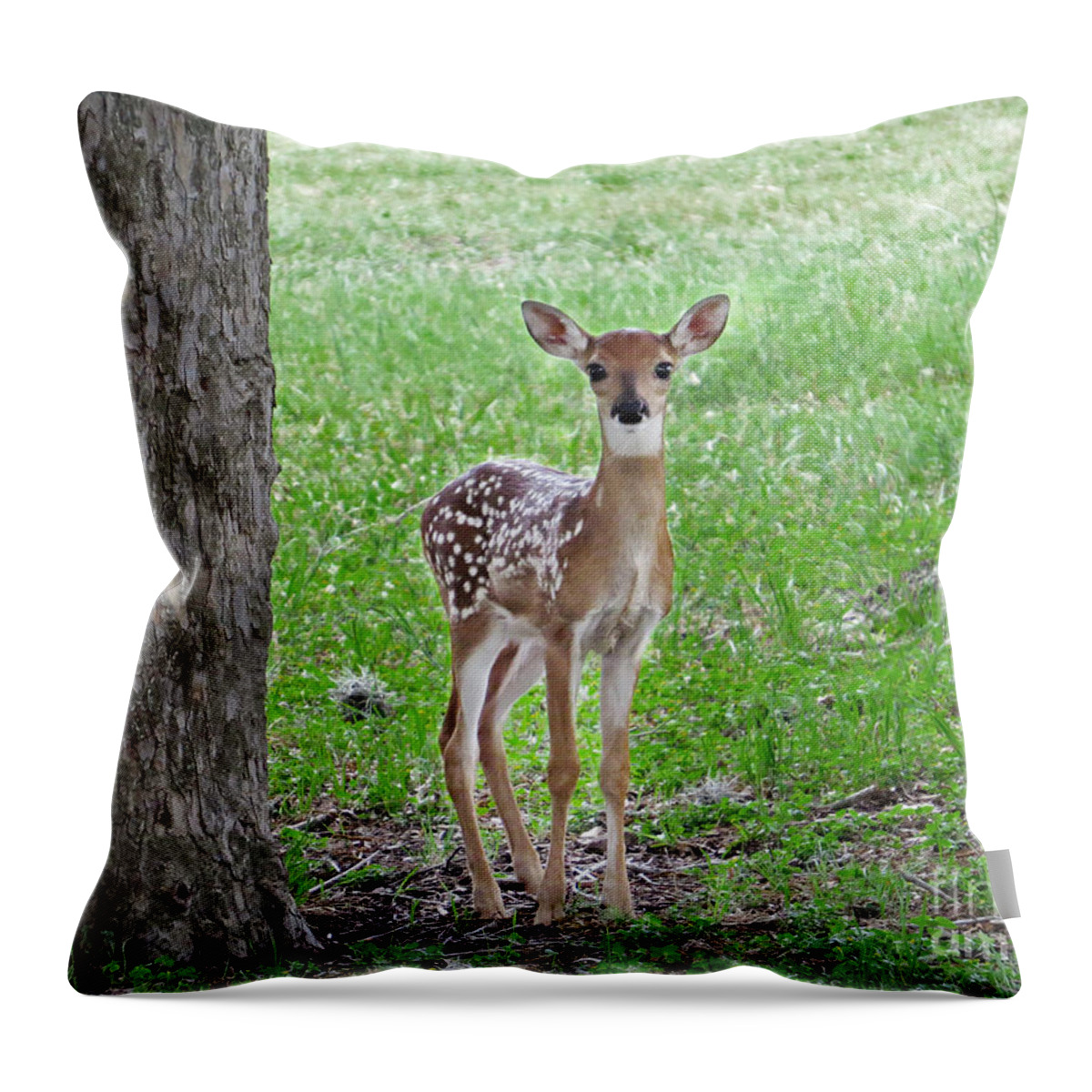 Nature Art Print Throw Pillow featuring the photograph White-Tailed Fawn - Face of Innocence by Ella Kaye Dickey