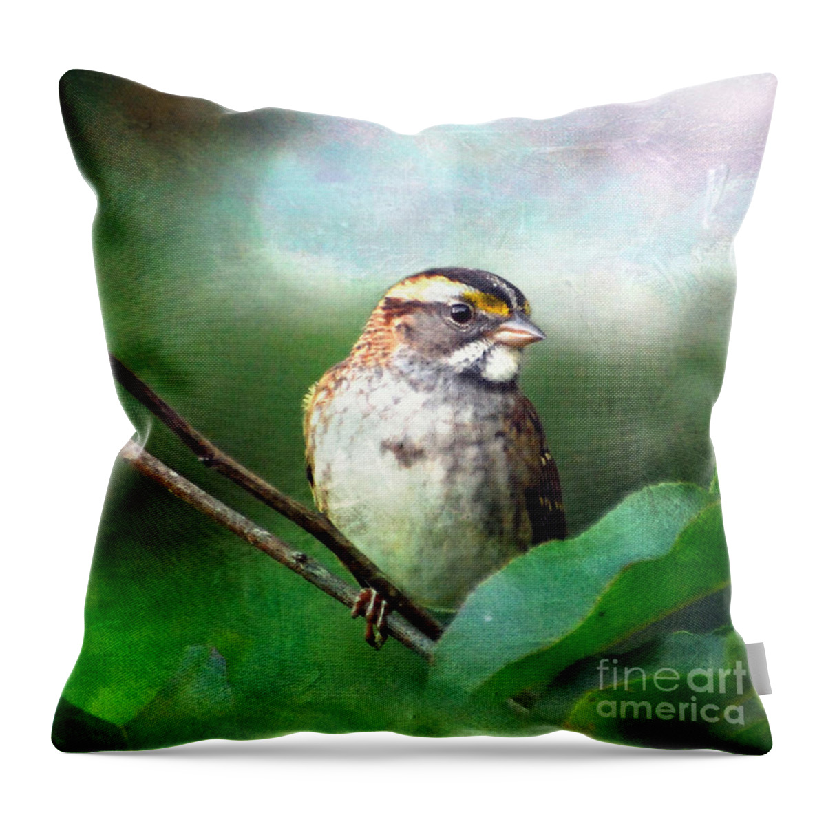 White-throated Sparrow Throw Pillow featuring the photograph White-throated Sparrow by Kerri Farley