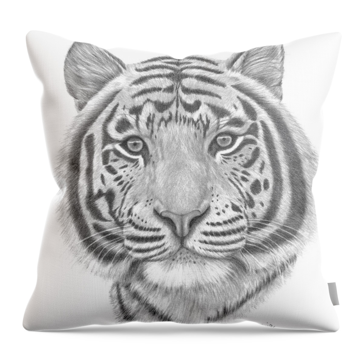 Tiger Throw Pillow featuring the drawing White Tiger by Patricia Hiltz