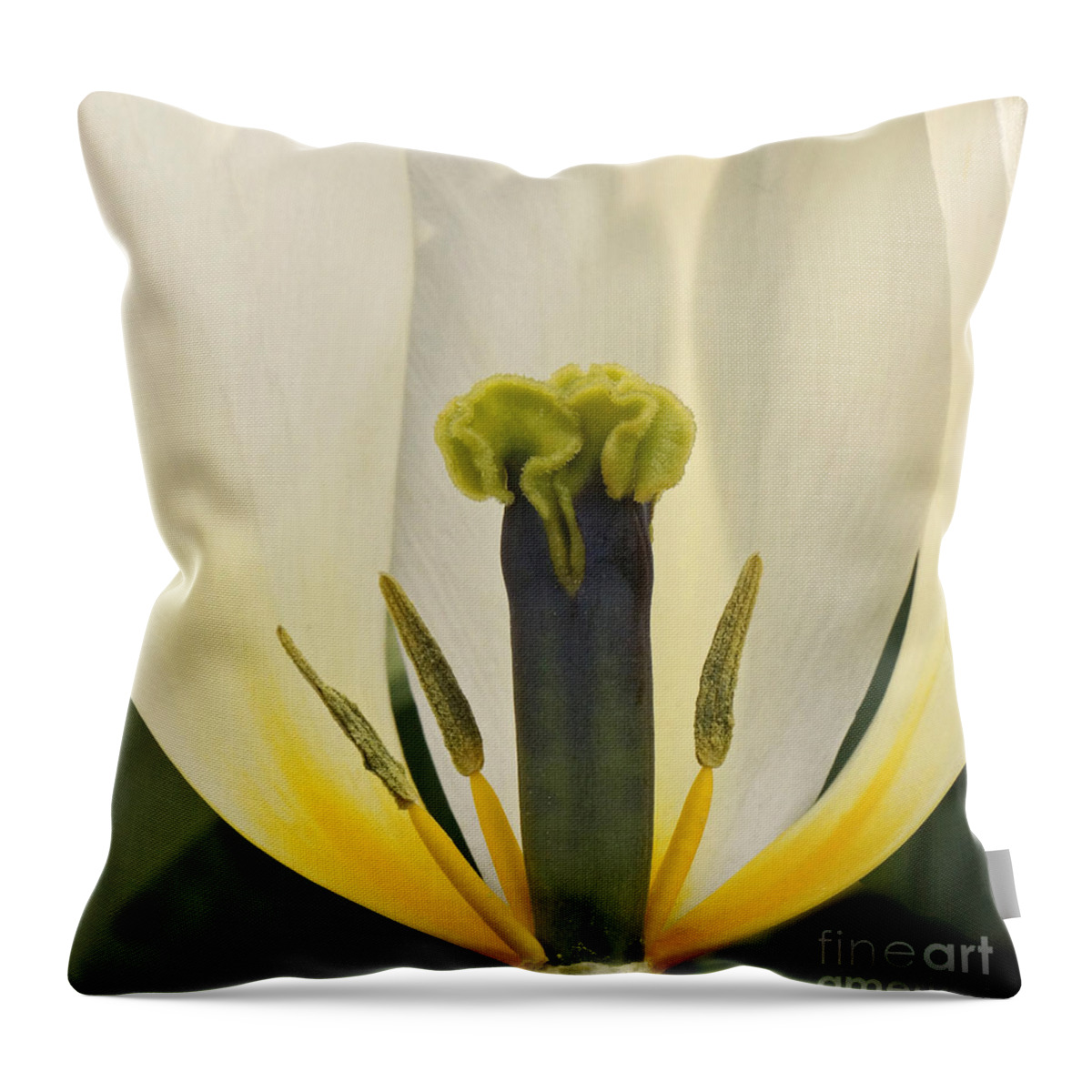 Tulip Throw Pillow featuring the photograph White Tulip by Inge Riis McDonald