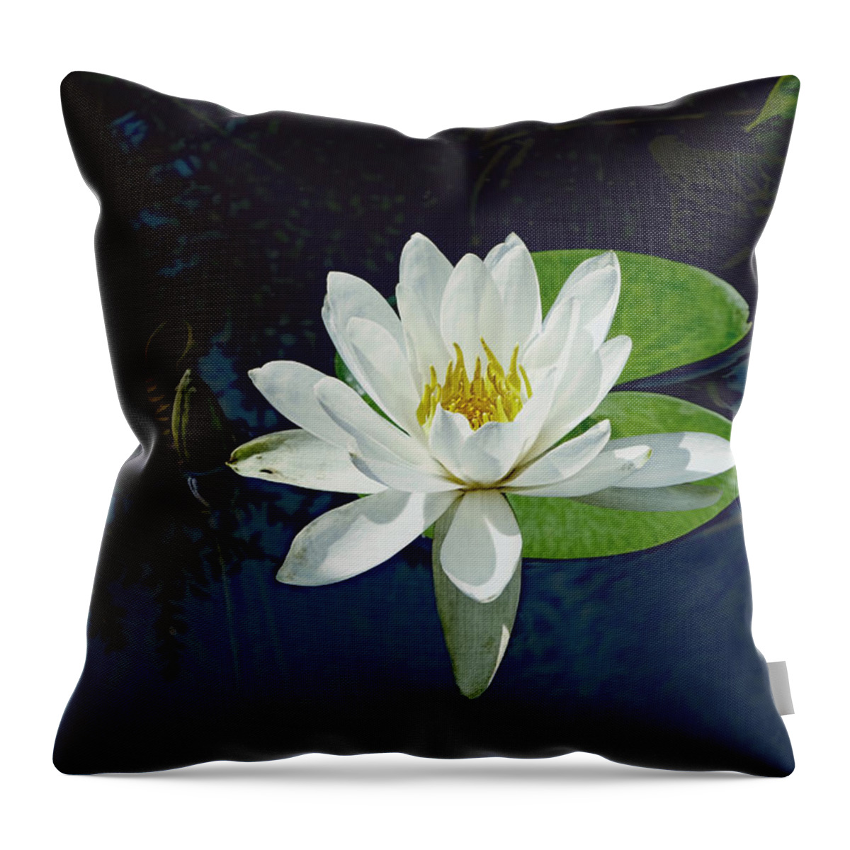 Lily Throw Pillow featuring the photograph White Water Lily by Ann Powell